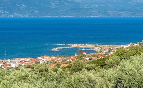 Αγροτεμάχια 11.893 τ.μ. για πώληση