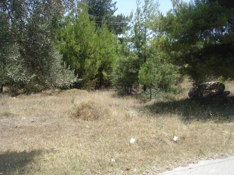 Parcel 1.048sqm for sale-Orchomenos