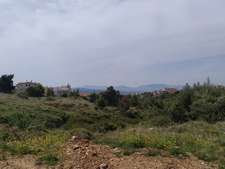 Land plot 500sqm for sale-Pikermi