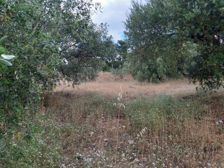 Parcel 2.100sqm for sale-Ano Liosia