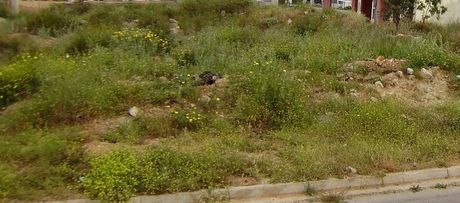 Οικόπεδο 640 τ.μ. για πώληση