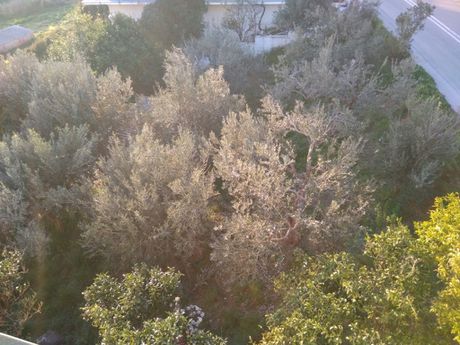Land plot 180sqm for sale-Stira