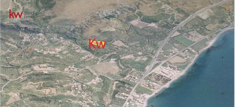 Αγροτεμάχια 4.093 τ.μ. για πώληση
