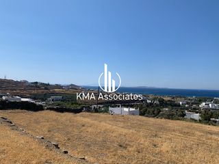 Αγροτεμάχια 4.905 τ.μ. για πώληση