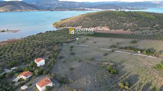 Οικόπεδο 9.800 τ.μ. για πώληση