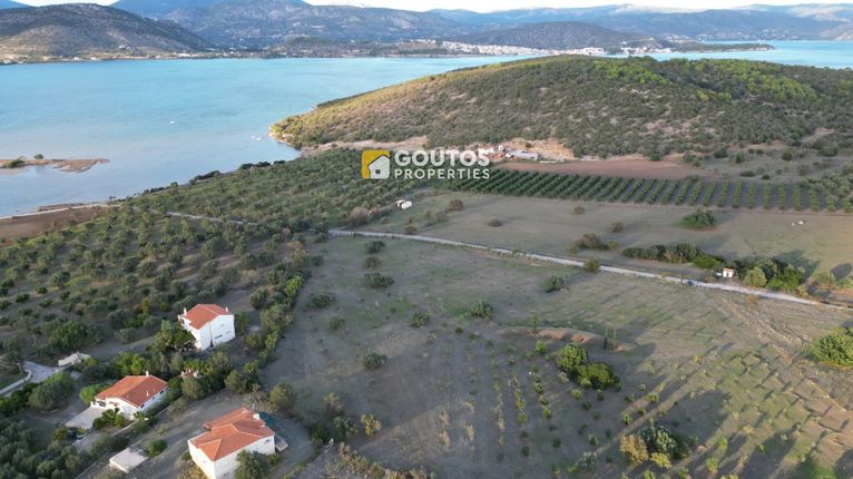 Οικόπεδο 9.800 τ.μ. για πώληση, Αργολίδα, Ερμιόνη