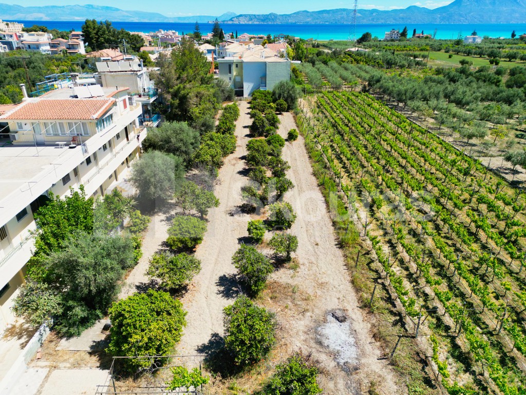 Οικόπεδο 360 τ.μ. προς πώληση, Κοκκώνι