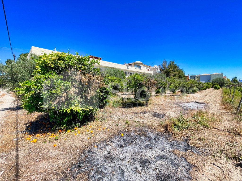 Οικόπεδο 360 τ.μ. προς πώληση, Κοκκώνι