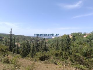 Οικόπεδο 1.000 τ.μ. προς πώληση, Αλμυρίδα Βάμου-thumb-6