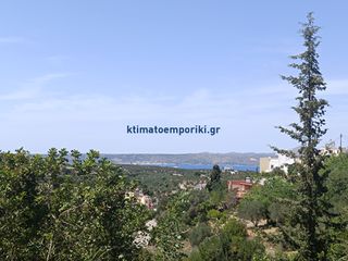 Οικόπεδο 1.000 τ.μ. για πώληση