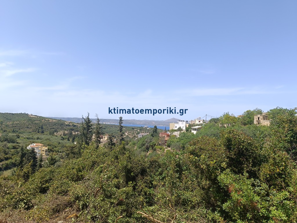 Οικόπεδο 1.000 τ.μ. προς πώληση, Αλμυρίδα Βάμου
