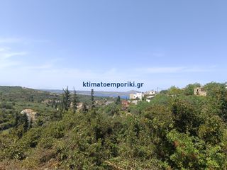 Οικόπεδο 1.000 τ.μ. προς πώληση, Αλμυρίδα Βάμου-thumb-1