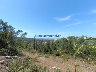 Οικόπεδο 1.000 τ.μ. προς πώληση, Αλμυρίδα Βάμου-thumb-7