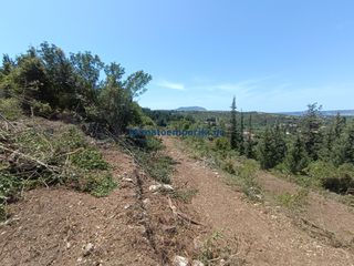 Οικόπεδο 1.000 τ.μ. προς πώληση, Αλμυρίδα Βάμου-thumb-4