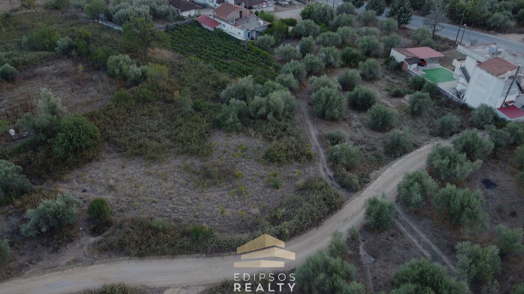 Αγροτεμάχια 14.300 τ.μ. προς πώληση, Αιδηψός