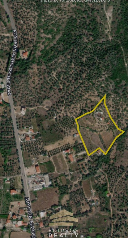 Αγροτεμάχια 14.300 τ.μ. προς πώληση, Αιδηψός