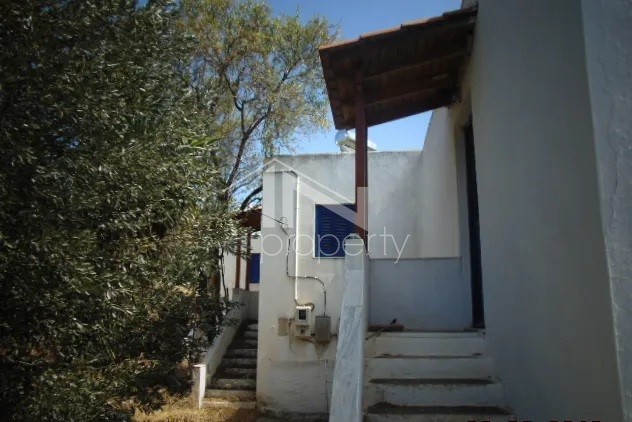 Bungalow 60 τ.μ. προς πώληση, Άνδρος