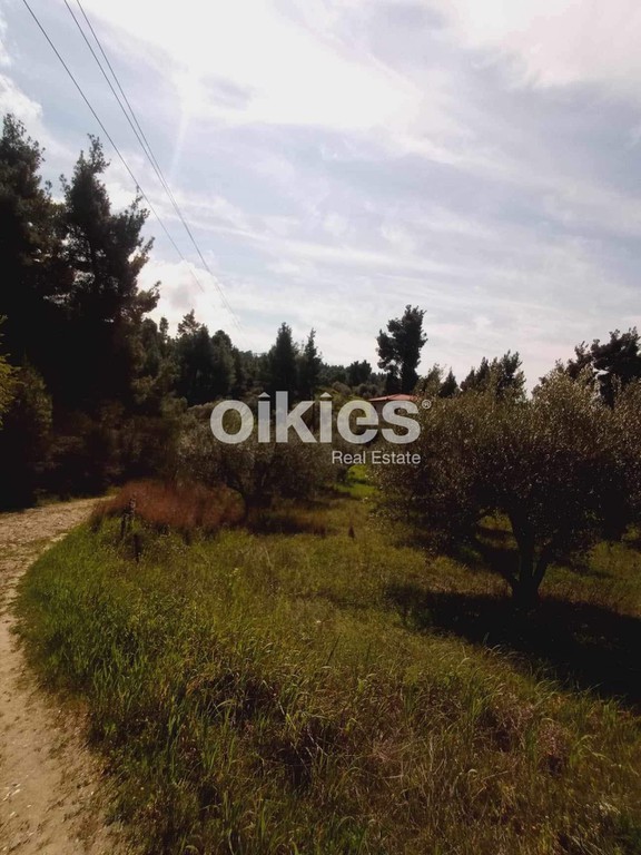 Οικόπεδο 2.760 τ.μ. προς πώληση, Νέος Μαρμαράς