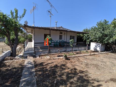 Μονοκατοικία 90 τ.μ. για πώληση