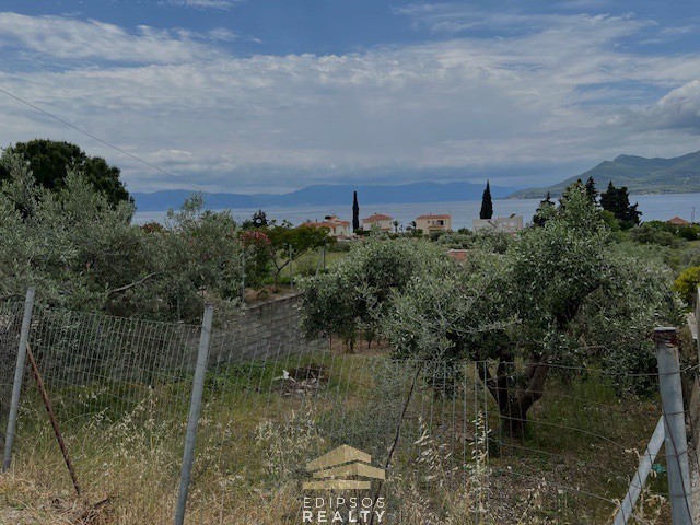 Αγροτεμάχια 1.835 τ.μ. προς πώληση, Λουτρά Αιδηψού