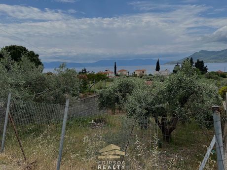 Αγροτεμάχια 1.835 τ.μ. για πώληση