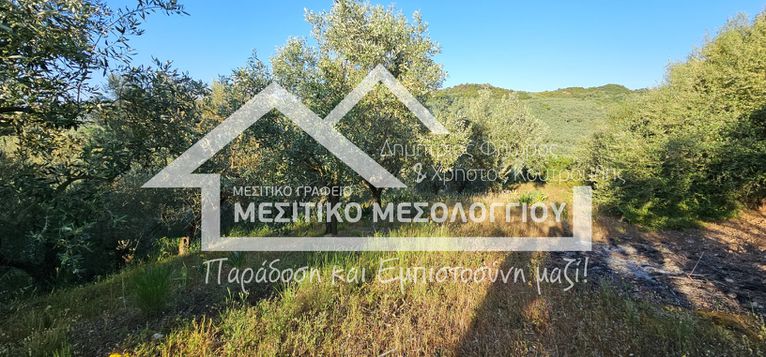 Αγροτεμάχια 3.776 τ.μ. για πώληση, Αιτωλοακαρνανία, Αιτωλικό