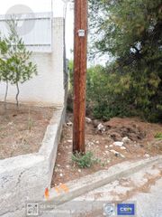 Οικόπεδο 1.036 τ.μ. για πώληση, Φθιώτιδας, Μαλεσίνα-thumb-1