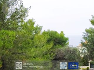 Οικόπεδο 1.036 τ.μ. για πώληση