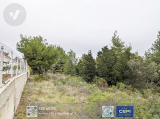 Οικόπεδο 1.036 τ.μ. για πώληση, Φθιώτιδας, Μαλεσίνα-thumb-2