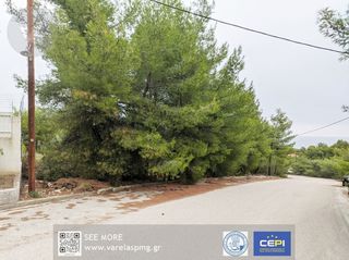 Οικόπεδο 1.036 τ.μ. για πώληση, Φθιώτιδας, Μαλεσίνα-thumb-6