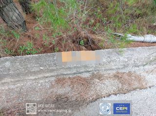 Οικόπεδο 1.036 τ.μ. για πώληση, Φθιώτιδας, Μαλεσίνα-thumb-5