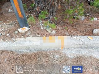 Οικόπεδο 1.036 τ.μ. για πώληση, Φθιώτιδας, Μαλεσίνα-thumb-7