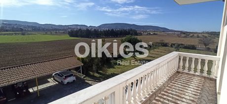 Μονοκατοικία 400τ.μ. για πώληση-Θέρμη » Βασιλικά