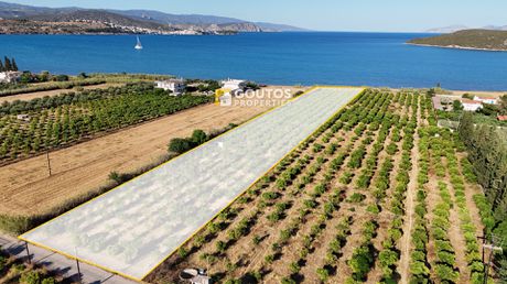 Οικόπεδο 8.170 τ.μ. για πώληση