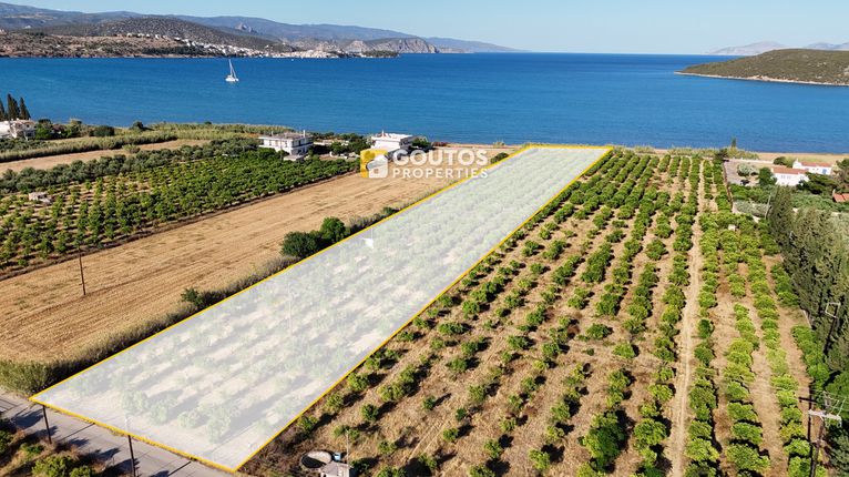 Οικόπεδο 8.170 τ.μ. για πώληση, Αργολίδα, Ερμιόνη