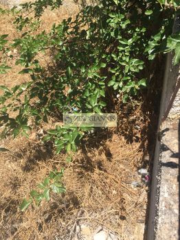 Οικόπεδο 435 τ.μ. για πώληση