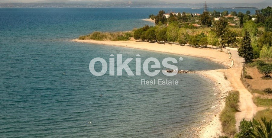 Αγροτεμάχια 12.392 τ.μ. προς πώληση, Άνω Βάθεια