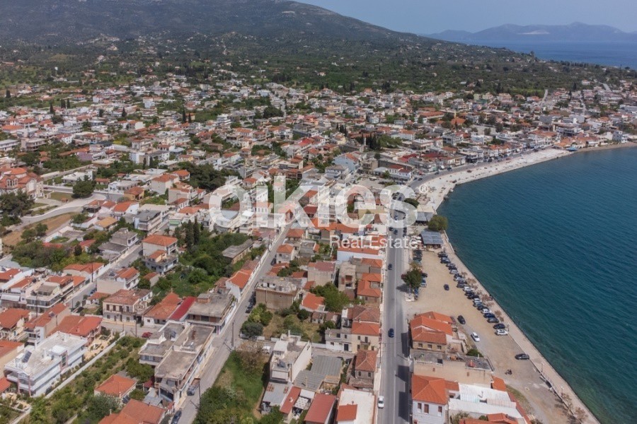 Αγροτεμάχια 12.392 τ.μ. προς πώληση, Άνω Βάθεια