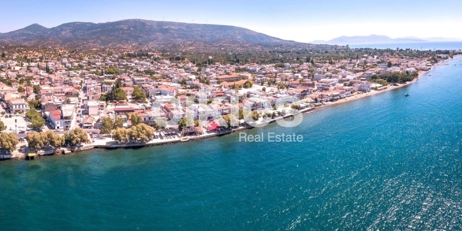 Αγροτεμάχια 12.392 τ.μ. προς πώληση, Άνω Βάθεια