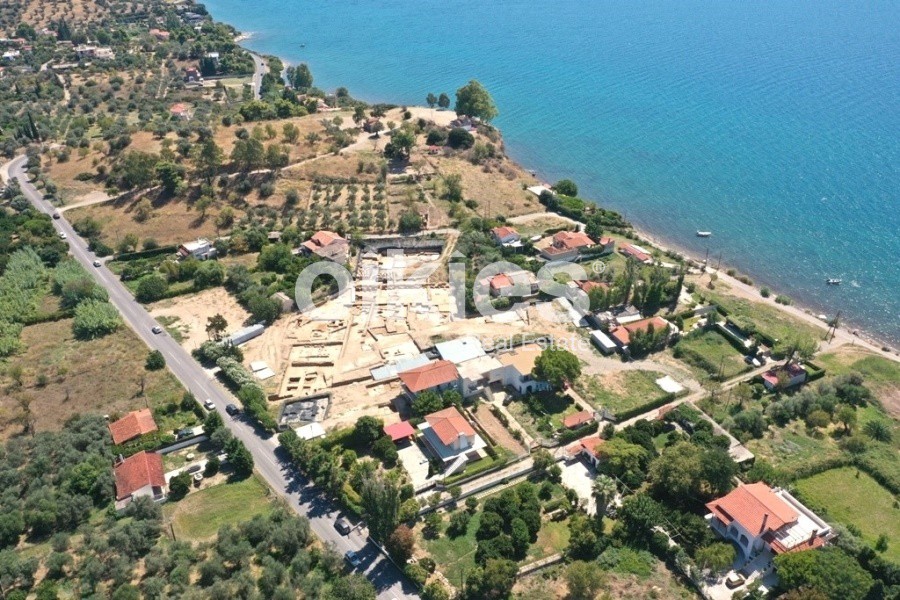 Αγροτεμάχια 12.392 τ.μ. προς πώληση, Άνω Βάθεια