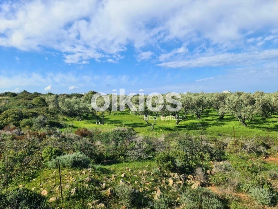 Οικόπεδο 40.453 τ.μ. προς πώληση, Σταυρός Ακρωτηρίου