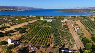 Οικόπεδο 17.082 τ.μ. για πώληση, Αργολίδα, Ερμιόνη-thumb-8