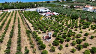 Οικόπεδο 17.082 τ.μ. για πώληση, Αργολίδα, Ερμιόνη-thumb-5