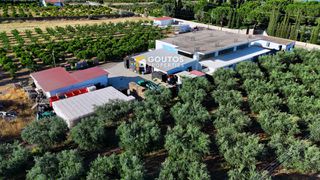 Οικόπεδο 17.082 τ.μ. για πώληση, Αργολίδα, Ερμιόνη-thumb-19