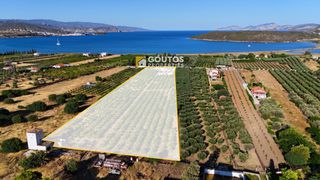 Οικόπεδο 17.082 τ.μ. για πώληση, Αργολίδα, Ερμιόνη-thumb-9
