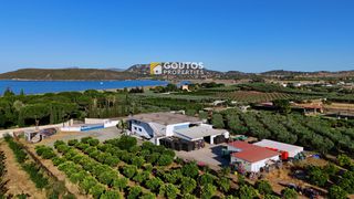 Οικόπεδο 17.082 τ.μ. για πώληση, Αργολίδα, Ερμιόνη-thumb-7