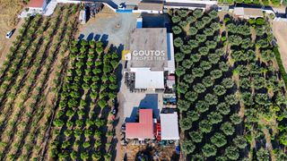 Οικόπεδο 17.082 τ.μ. για πώληση, Αργολίδα, Ερμιόνη-thumb-11
