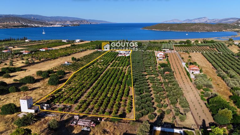 Οικόπεδο 17.082 τ.μ. για πώληση, Αργολίδα, Ερμιόνη