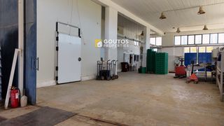 Οικόπεδο 17.082 τ.μ. για πώληση, Αργολίδα, Ερμιόνη-thumb-26