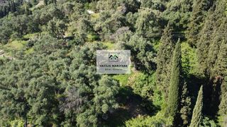 Οικόπεδο 4.333 τ.μ. πρός πώληση, Ν. Κέρκυρας, Κέρκυρα-thumb-18